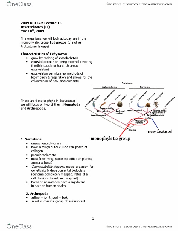 BIO153H5 Lecture Notes - Lecture 16: Crustacean, Internal Fertilization, Elytron thumbnail