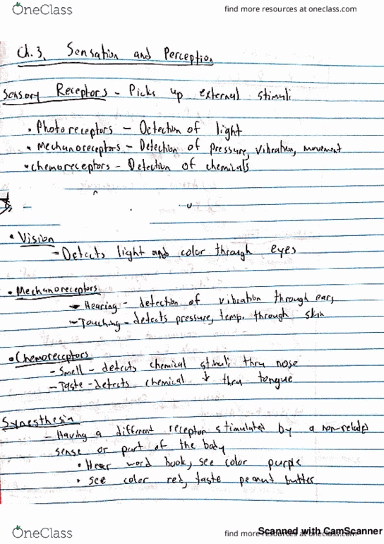 PSYCH 101 Lecture 3: Ch. 3 - Sensation and Perception thumbnail