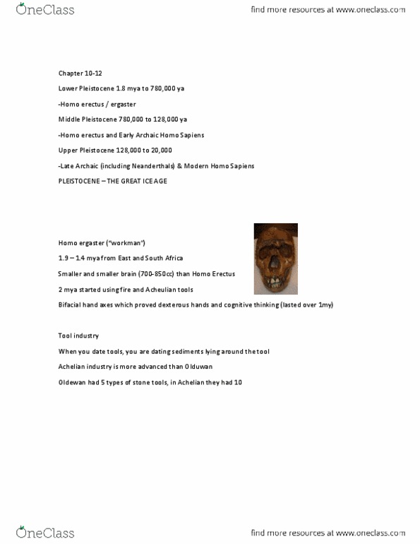 ANTC34H3 Lecture Notes - Gravettian, Insular Dwarfism, Carpal Bones thumbnail