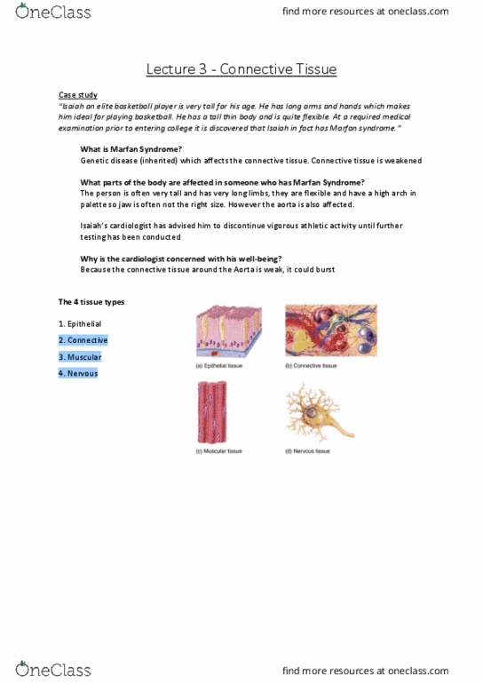 9808 Lecture Notes - Lecture 3: Nucleolus, Trachea, Macrophage thumbnail