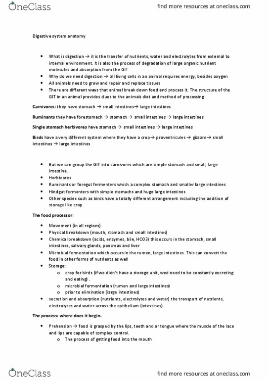 ANSC3103 Lecture Notes - Lecture 20: Ileum, Jejunum, Greater Omentum thumbnail