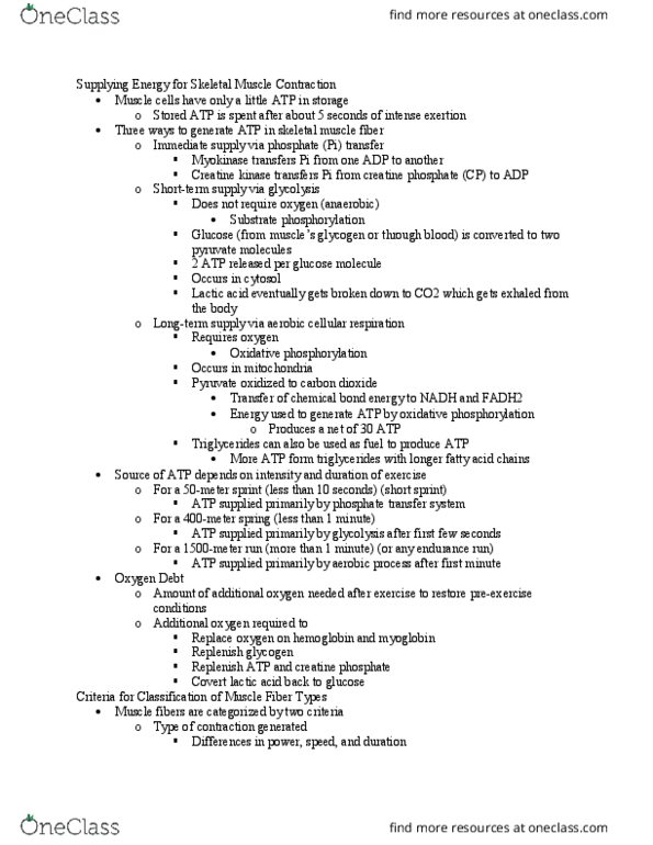 BIO 211 Lecture Notes - Lecture 4: Myocyte, Creatine Kinase, Skeletal Muscle thumbnail