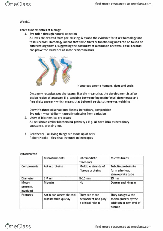 BIOL10002 Lecture Notes - Lecture 28: Water Content, Ovulation, Acrosome thumbnail