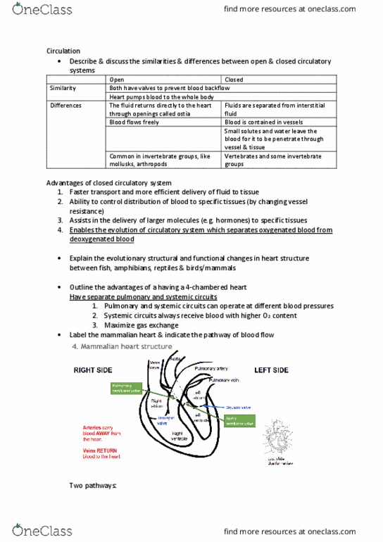 BIOL10002 Lecture Notes - Lecture 14: Autoregulation, Pulmonary Vein, Cardiac Output thumbnail