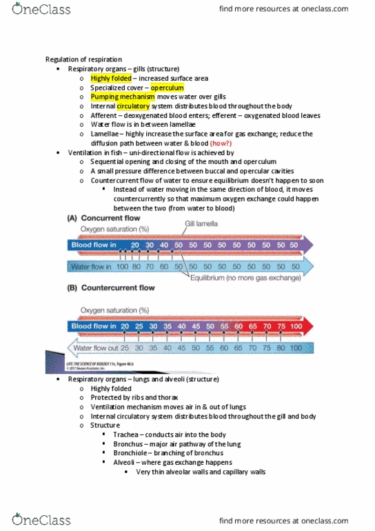 BIOL10002 Lecture Notes - Lecture 17: Respiratory Center, Osmosis, Intercostal Muscle thumbnail