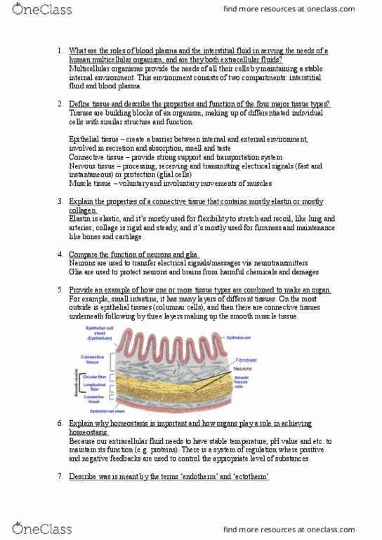 BIOL10002 Lecture Notes - Lecture 10: Nervous Tissue, Ectotherm, Elastin thumbnail