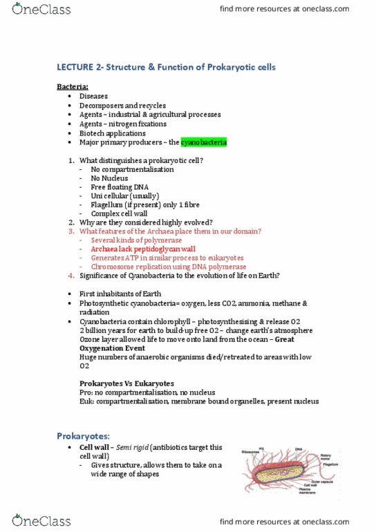 BIOL10004 Lecture Notes - Lecture 2: Meiosis, Resting Spore, Anoxygenic Photosynthesis thumbnail