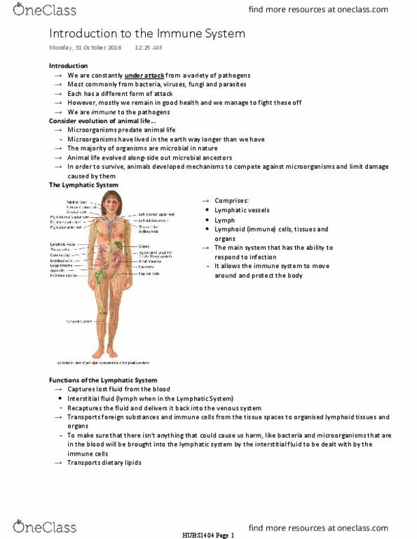 HUBS1404 Lecture Notes - Lecture 7: Apoptosis, Epithelium, Institute For Operations Research And The Management Sciences thumbnail