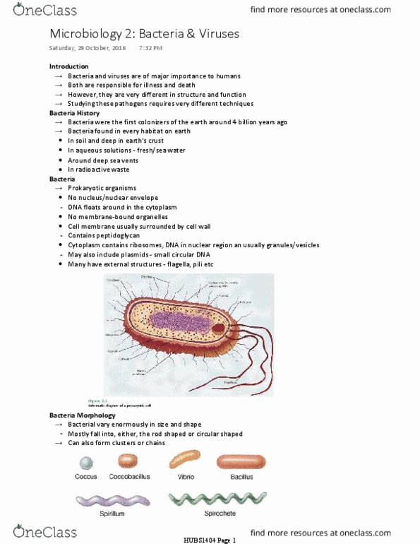 HUBS1404 Lecture Notes - Lecture 6: Plasmid, Gram Staining, Petri Dish thumbnail