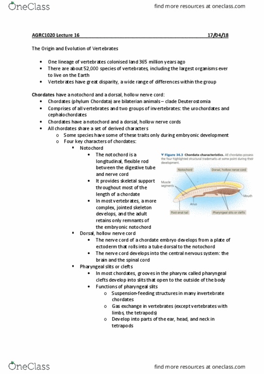 AGRC1020 Lecture Notes - Lecture 16: Oviparity, Cave Painting, Paleoanthropology thumbnail