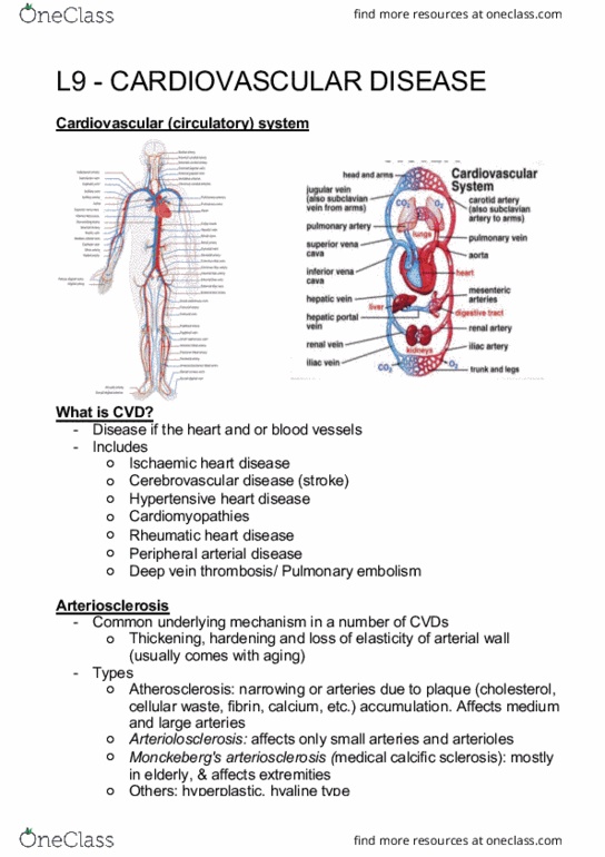 PUBH2008 Lecture Notes - Lecture 9: Hyperplasia, Antiplatelet Drug, Hypertensive Heart Disease thumbnail