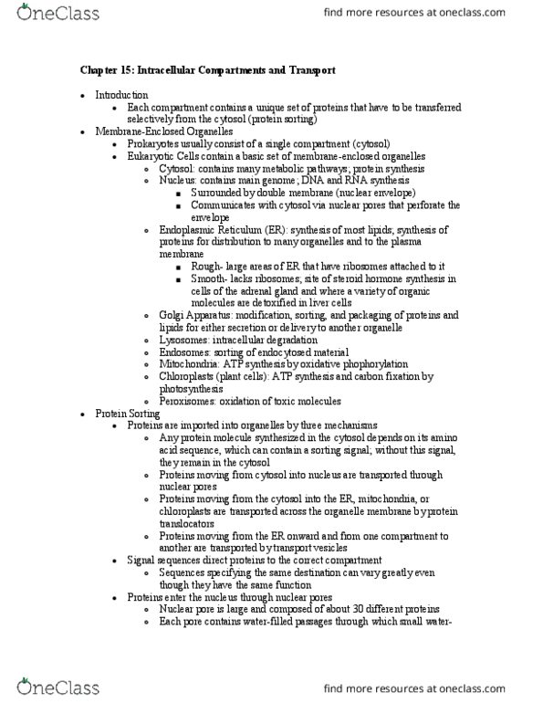 ENG BE 209 Chapter Notes - Chapter 15: Unfolded Protein Response, Adrenal Gland, Endosome thumbnail