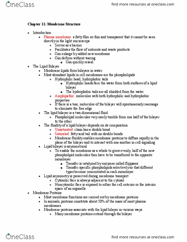 ENG BE 209 Chapter Notes - Chapter 11: Micelle, Membrane Transport, Hydrophile thumbnail