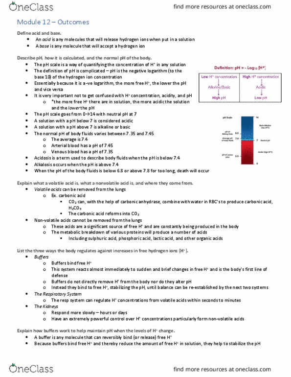 Physiology 2130 Lecture Notes - Lecture 12: Metabolic Acidosis, Hemoglobin, Peripheral Chemoreceptors thumbnail