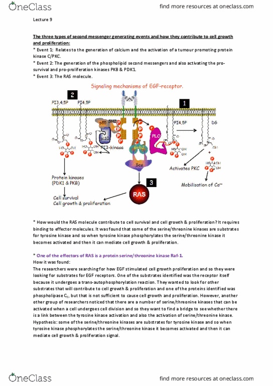 BCMB30004 Lecture Notes - Lecture 9: Arginine, Cytosol, Microtubule thumbnail