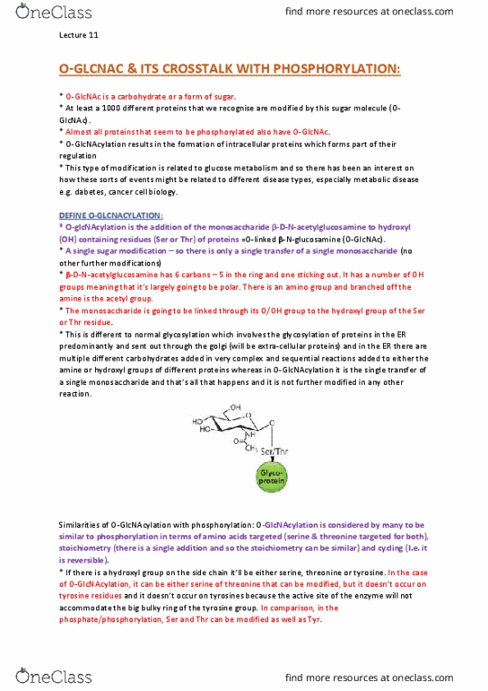 BCMB30004 Lecture Notes - Lecture 11: Tubulin, Microtubule, Futile Cycle thumbnail