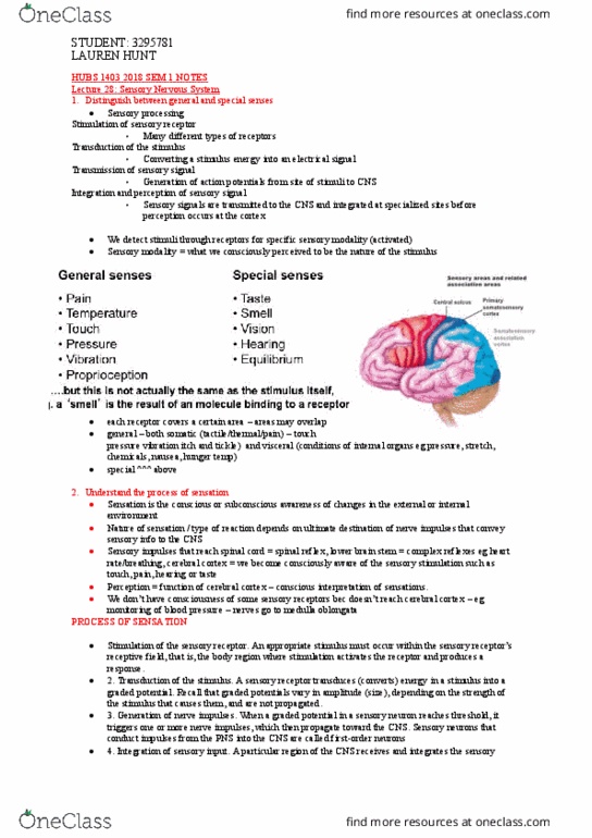 HUBS1403 Lecture Notes - Lecture 28: Neuromuscular Junction, Amyotrophic Lateral Sclerosis, Corticobulbar Tract thumbnail