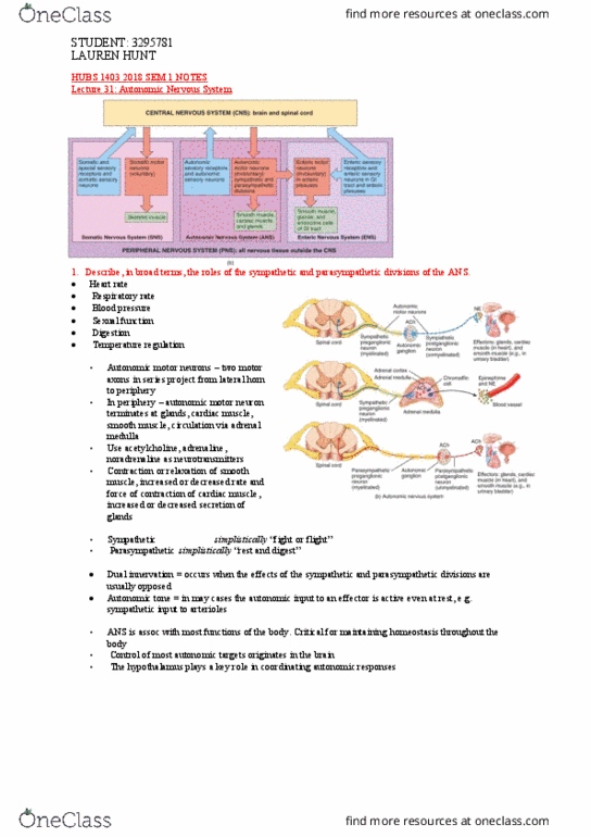 HUBS1403 Lecture Notes - Lecture 32: Grey Matter, Glossopharyngeal Nerve, Thoracic Cavity thumbnail