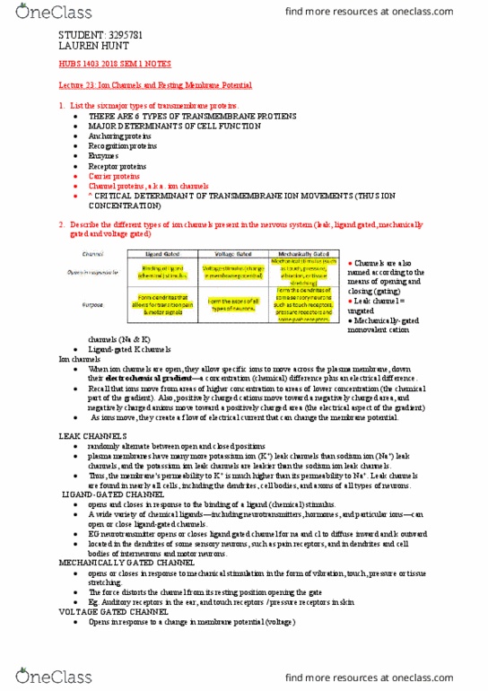 HUBS1403 Lecture Notes - Lecture 23: Extracellular Fluid, Skeletal Muscle, Resting Potential thumbnail