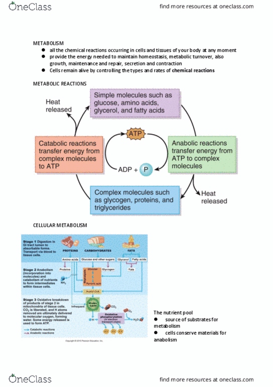 document preview image