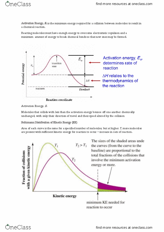 CHM1011 Lecture Notes - Lecture 12: Reaction Rate, Activation Energy, Autocatalysis thumbnail