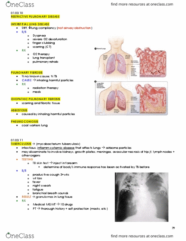 KINESIOL 1Y03 Lecture Notes - Lecture 5: Avascular Necrosis, Mycobacterium Tuberculosis, Heart Murmur thumbnail