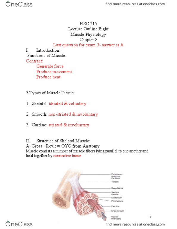 HSC 215 Lecture Notes - Lecture 8: Tetanus, Too Short, Multinucleate thumbnail