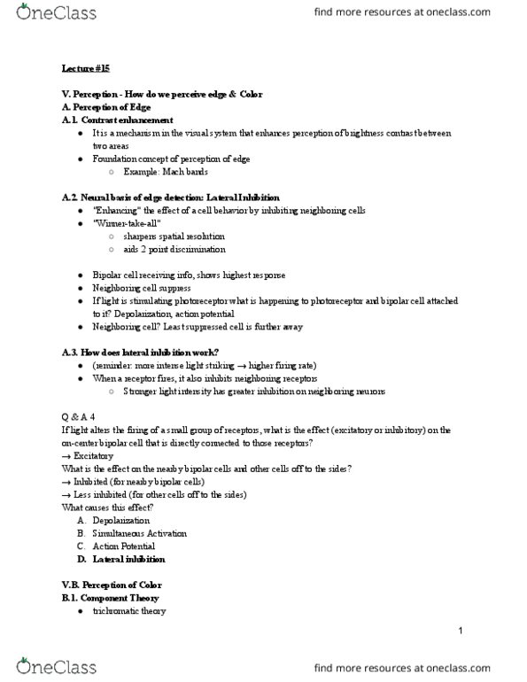 PSY 250 Lecture Notes - Lecture 15: Trichromacy, Visual Processing, Change Blindness thumbnail