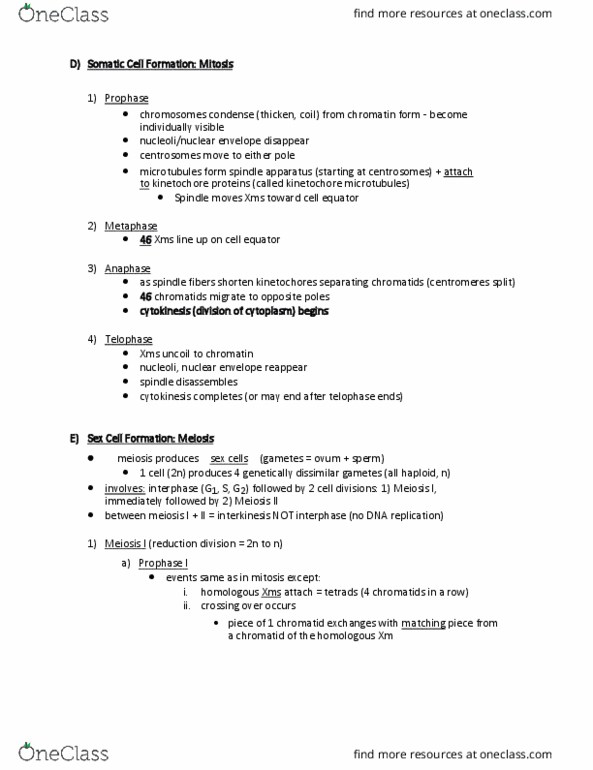 BIOL 1410 Lecture Notes - Lecture 10: Chromatin, Egg Cell, Nuclear Membrane thumbnail