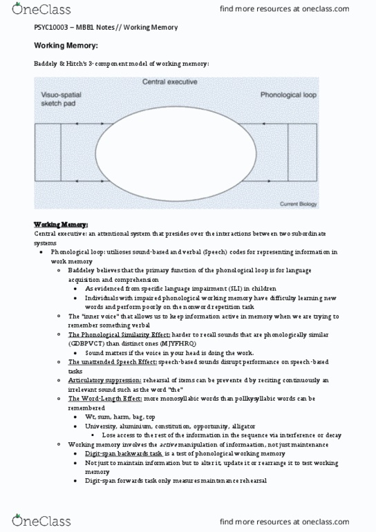 PSYC10003 Lecture Notes - Lecture 25: Goal Orientation, Mental Rotation, Language Disorder thumbnail