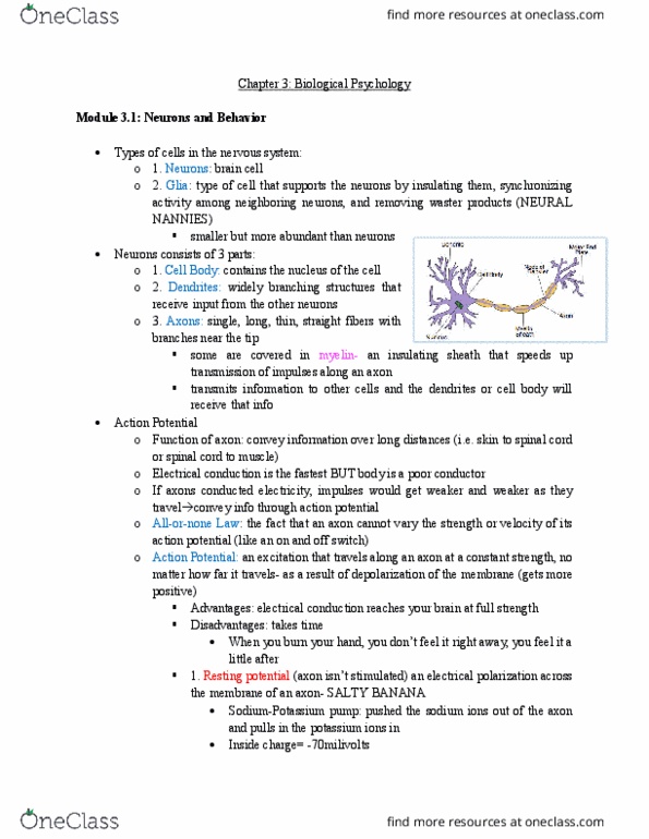 PSY 103 Chapter Notes - Chapter Ch 3: Epigenetics, Reuptake, Binding Problem thumbnail