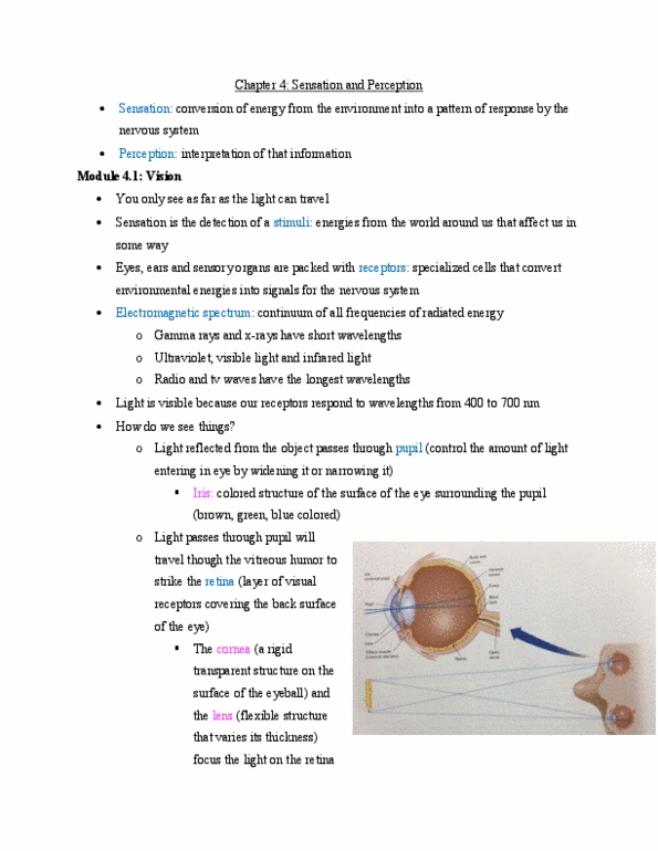 PSY 103 Chapter Notes - Chapter Ch 4 : Optic Chiasm, Otolith, Olfactory Tract thumbnail