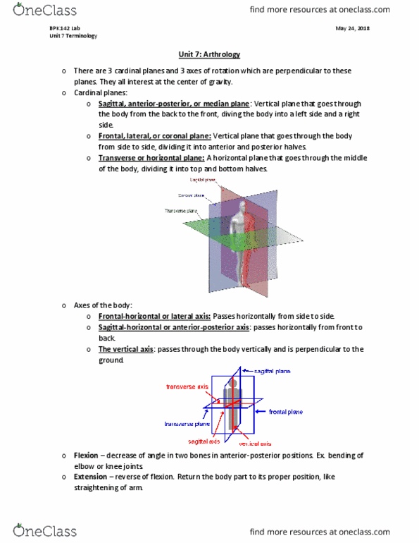 BPK 142 Lecture 7: Unit 7 Definitions thumbnail