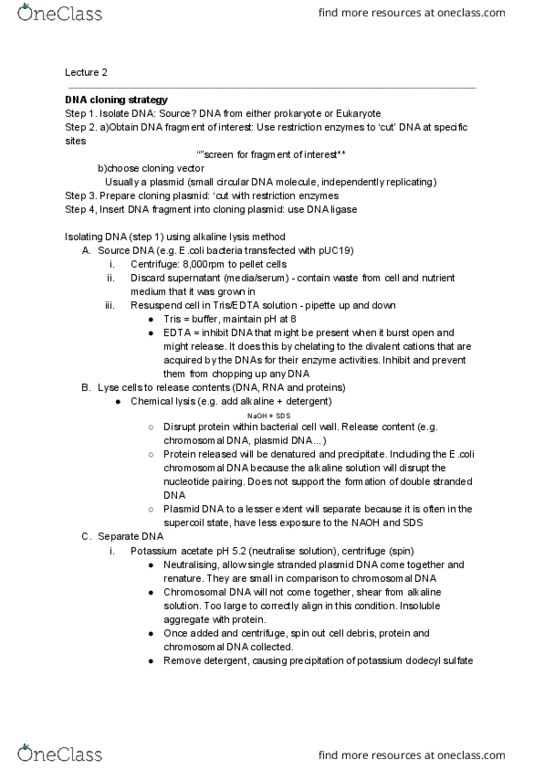 BCMB20005 Lecture Notes - Lecture 2: Complementary Dna, Dna Extraction, Isopropyl Alcohol thumbnail