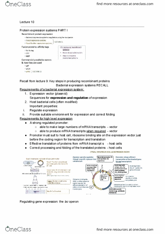 BCMB20005 Lecture Notes - Lecture 10: Elution, Galactose, Escherichia Coli thumbnail