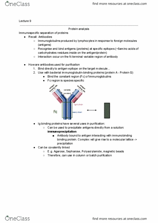 BCMB20005 Lecture Notes - Lecture 9: Spectrophotometry, Antigen, Gene Expression thumbnail