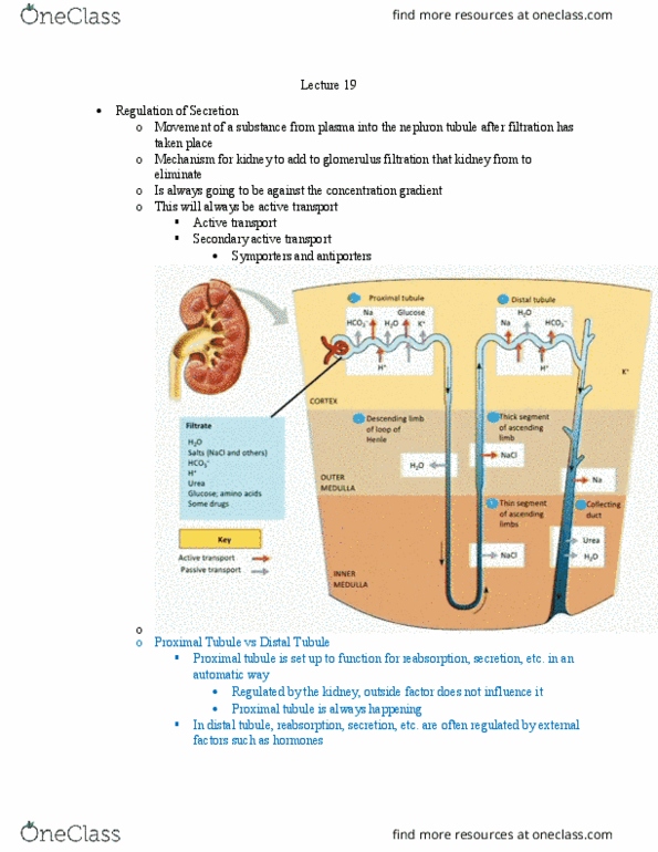 document preview image