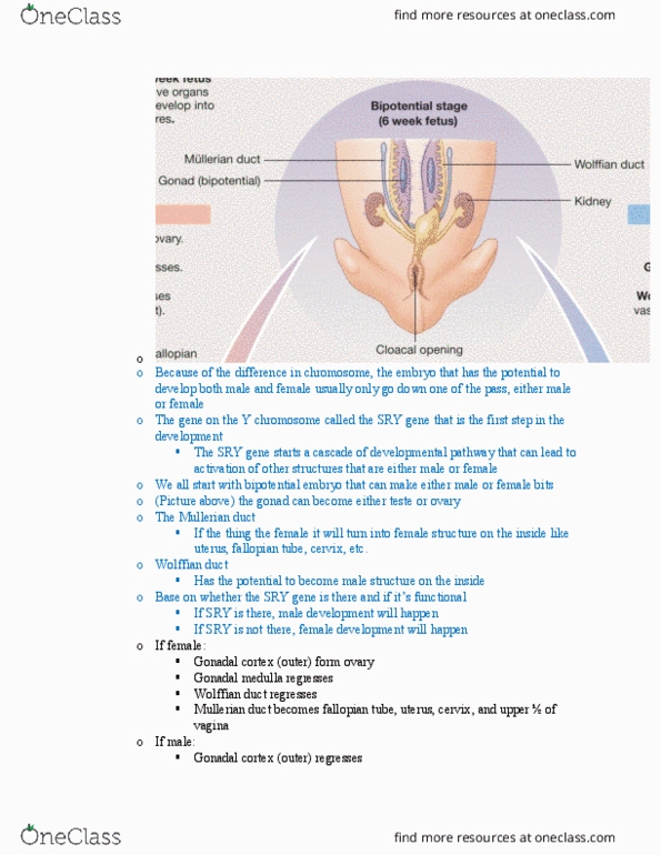 document preview image