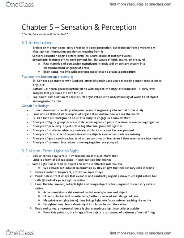 PSYC 100 Chapter Notes - Chapter 5: Visual Acuity, Ganglion Cell, Receptive Field thumbnail