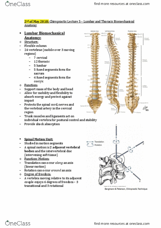 CHIR113 Lecture Notes - Lecture 8: Articular Processes, Dense Irregular Connective Tissue, Intervertebral Disc thumbnail