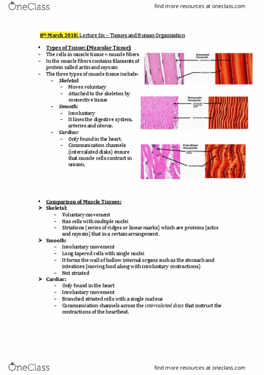 BIOL108 Lecture Notes - Lecture 3: Intercalated Disc, Nerve Growth Factor, Ph thumbnail
