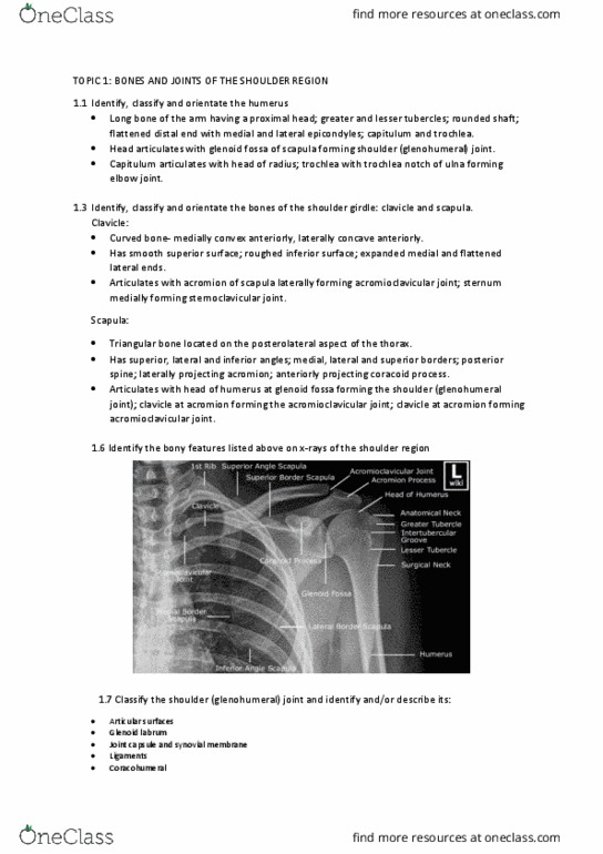 PHTY101 Lecture Notes - Lecture 1: Glenoid Labrum, Acromioclavicular Joint, Sternoclavicular Joint thumbnail
