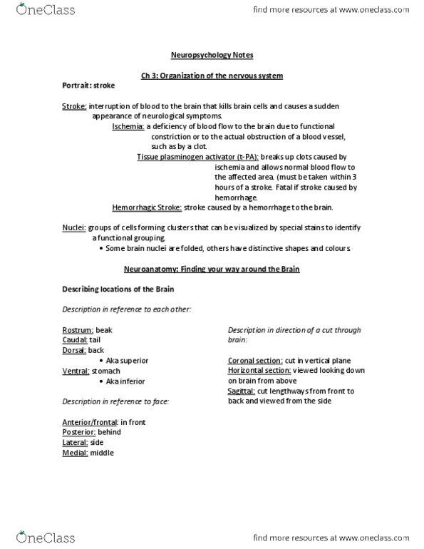 PSY 602 Chapter Notes - Chapter 3: Diencephalon, Inferior Colliculus, Hypothalamus thumbnail