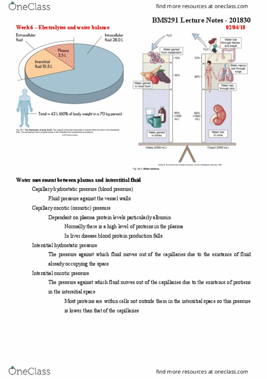 BMS291 Lecture Notes - Lecture 6: Pulmonary Edema, Cerebral Edema, Oncotic Pressure thumbnail