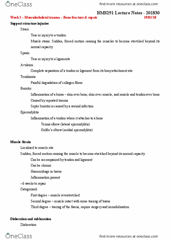 BMS291 Lecture Notes - Lecture 3: Tennis Elbow, Myoglobinuria, Status Epilepticus thumbnail