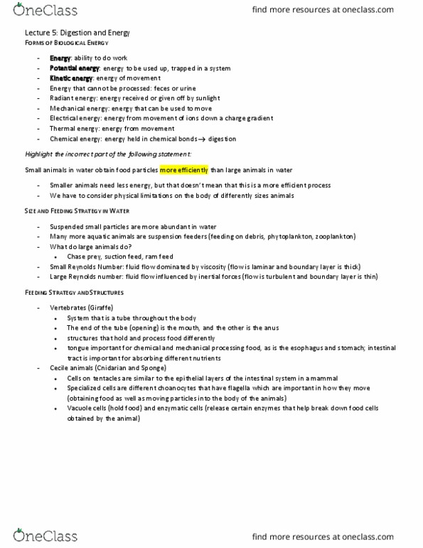 BIO202H5 Lecture Notes - Lecture 5: Reynolds Number, Radiant Energy, Thermal Energy thumbnail