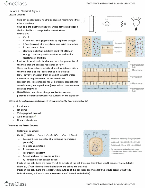 BIO202H5 Lecture Notes - Lecture 7: Gas Constant, Ion Channel, Acetylcholinesterase thumbnail