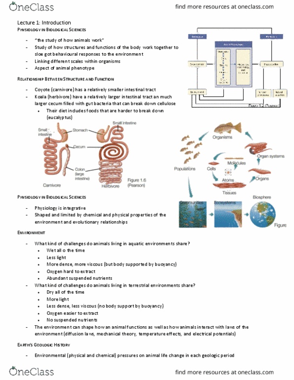 BIO202H5 Lecture Notes - Lecture 1: Prunus Spinosa, Cecum, Herbivore thumbnail