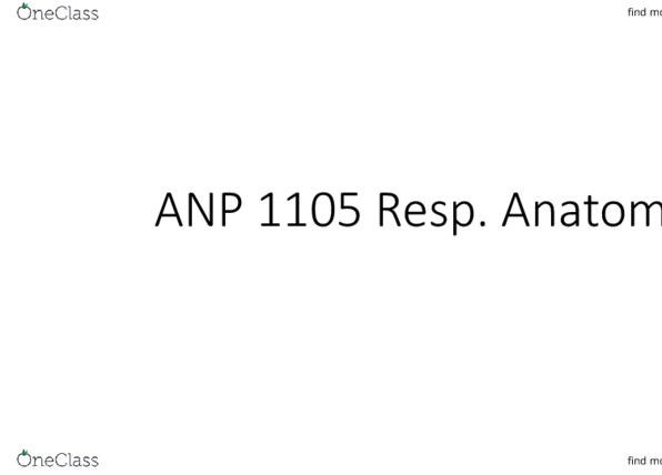 ANP 1105 Lecture 2: ANP 1105 Resp Anatomy thumbnail