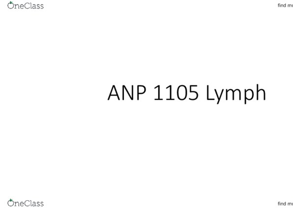 ANP 1105 Lecture 3: ANP 1105 Lymph thumbnail
